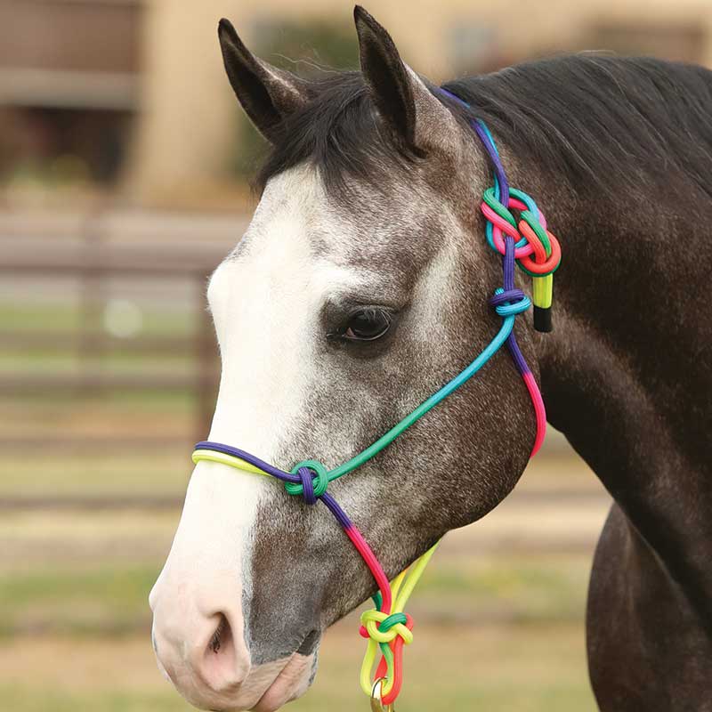 Tough-1 Adjustable MINI MINIATURE HORSE SIZE RAINBOW ROPE HALTER poly nylon Details about   New 