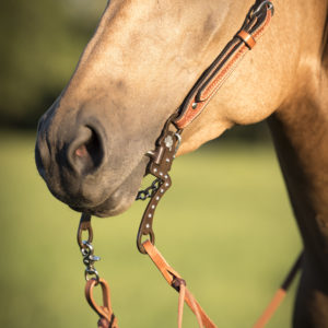 Cottage Craft Equestrian HorseS Coat Plastic Junior Sweat Scraper Rubber Edge