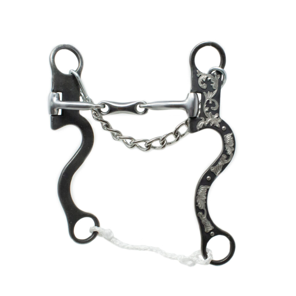Walt Woodard Clinician Pinchless Snaffle main image 0